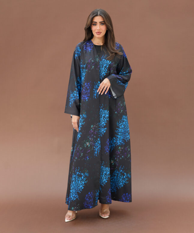 Alternative view of Sea Shadow